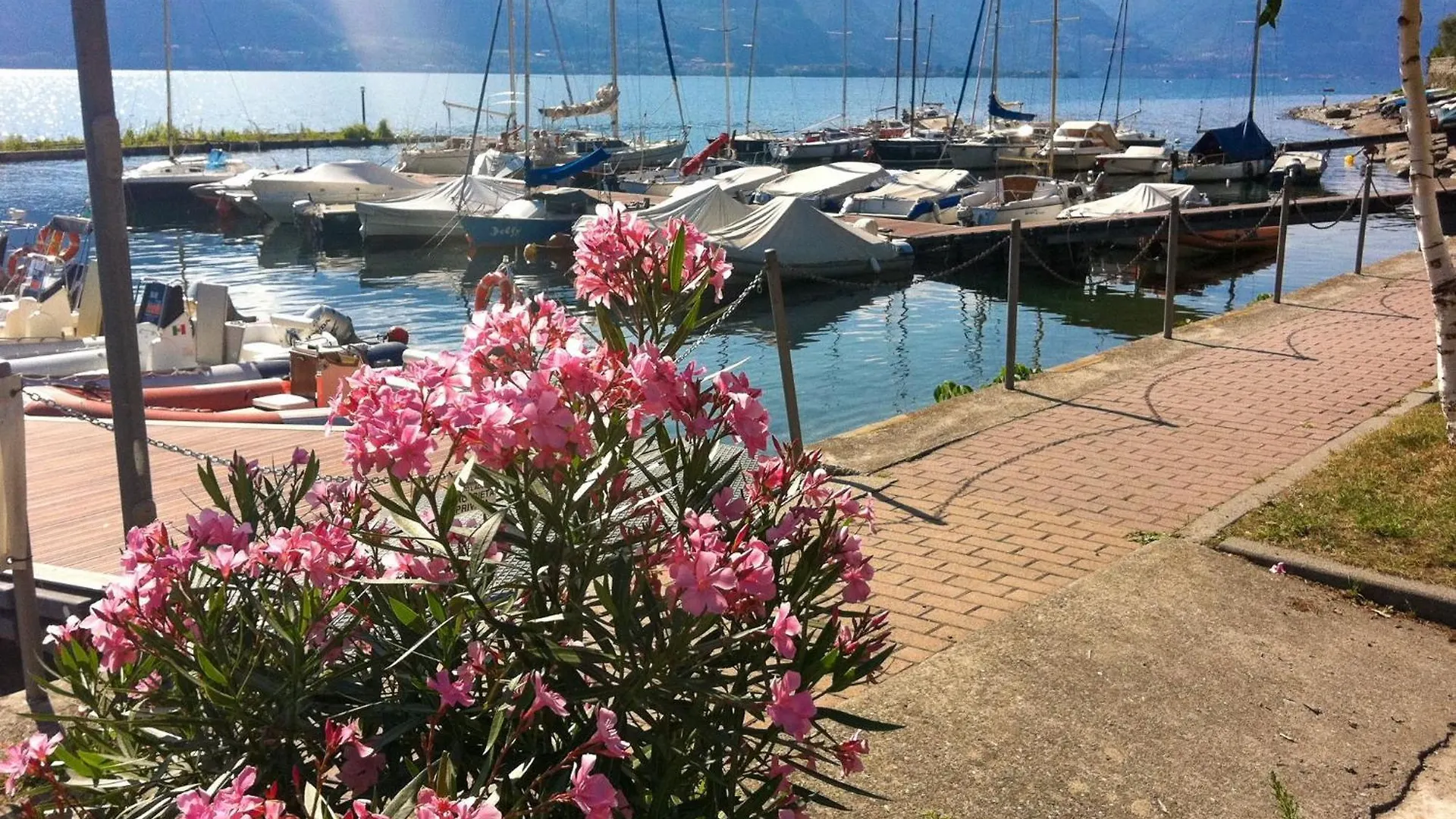 Daire Nido Alla Riva - Rondine Ferienwohnung Pianello Del Lario